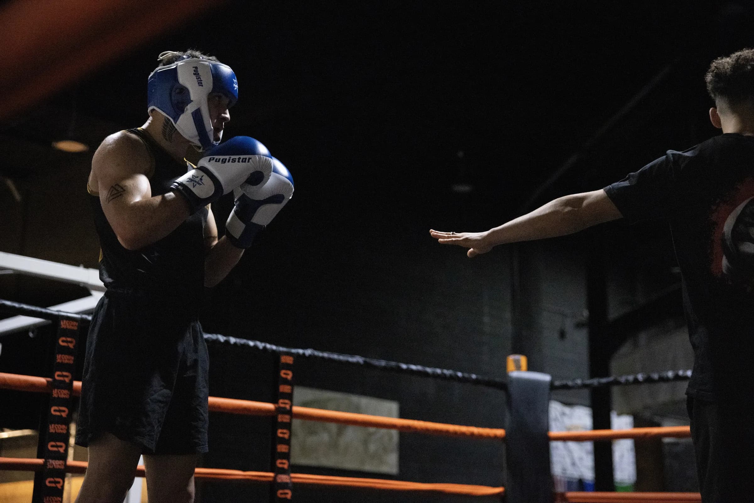 Boxe Anglaise 1