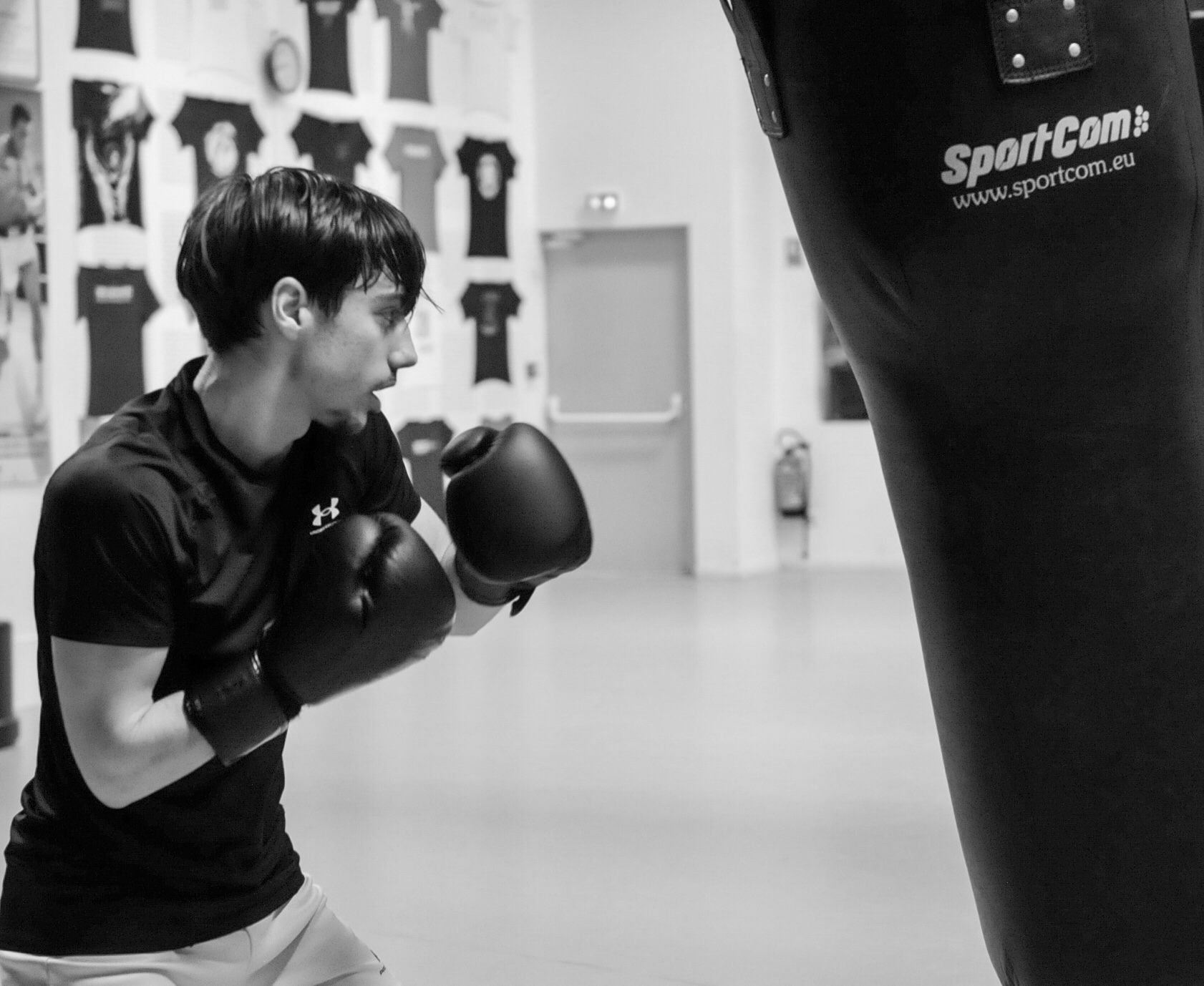 Boxe Anglaise - Image 2